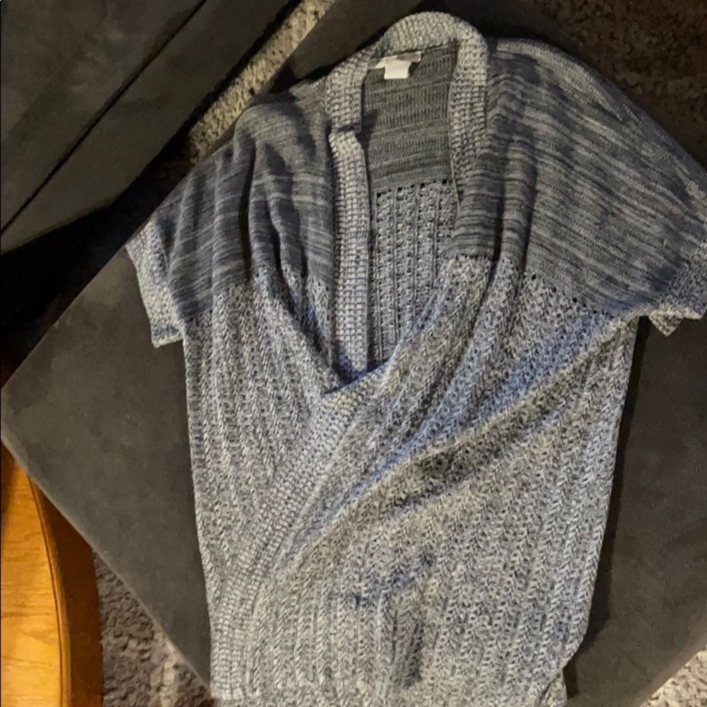 1X short sleeved sweater